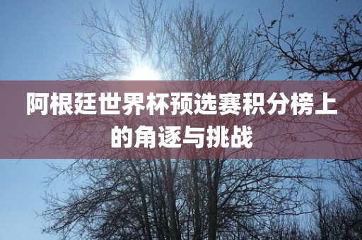 阿根廷世界杯预选赛积分榜上的角逐与挑战