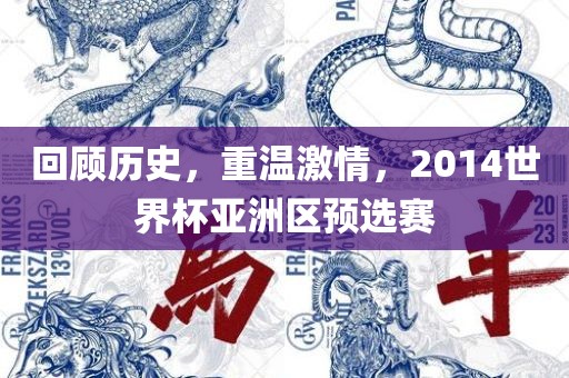 回顾历史,重温激情,2014世界杯亚洲区预选赛