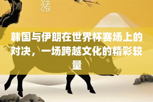韩国与伊朗在世界杯赛场上的对决，一场跨越文化的精彩较量