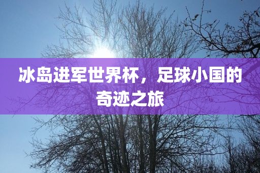 冰岛进军世界杯，足球小国的奇迹之旅