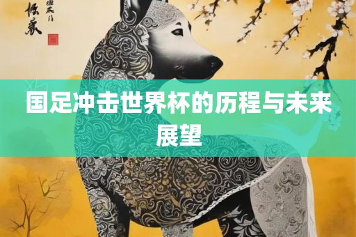 国足冲击世界杯的历程与未来展望