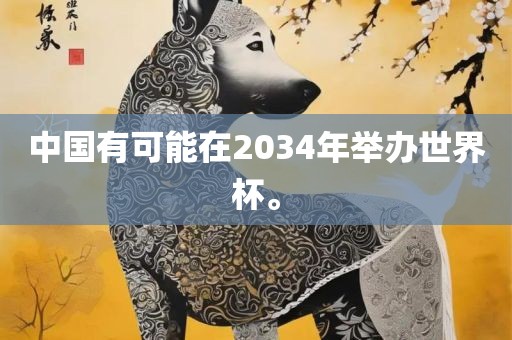 中国有可能在2034年举办世界杯。