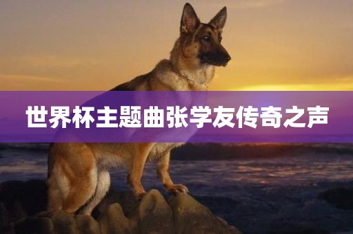 世界杯主题曲张学友传奇之声