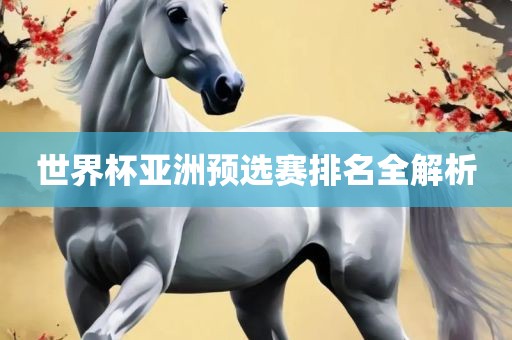 世界杯亚洲预选赛排名全解析