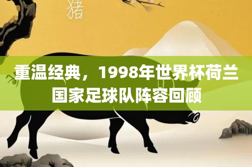 重温经典，1998年世界杯荷兰国家足球队阵容回顾