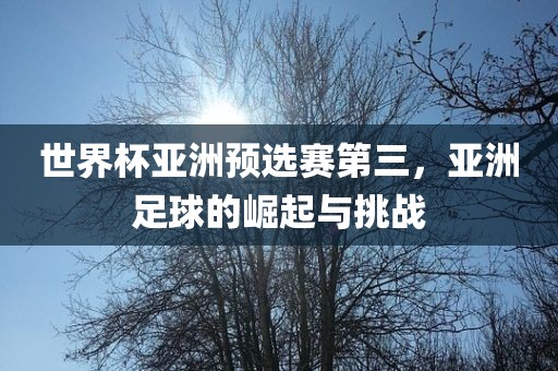 世界杯亚洲预选赛第三,亚洲足球的崛起与挑战