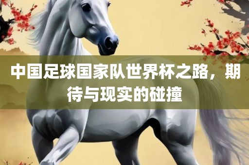 中国足球国家队世界杯之路，期待与现实的碰撞