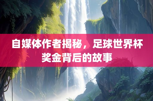 自媒体作者揭秘,足球世界杯奖金背后的故事