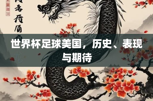 世界杯足球美国，历史、表现与期待