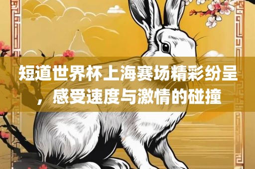 短道世界杯上海赛场精彩纷呈，感受速度与激情的碰撞