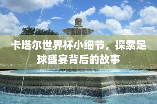 卡塔尔世界杯小细节，探索足球盛宴背后的故事