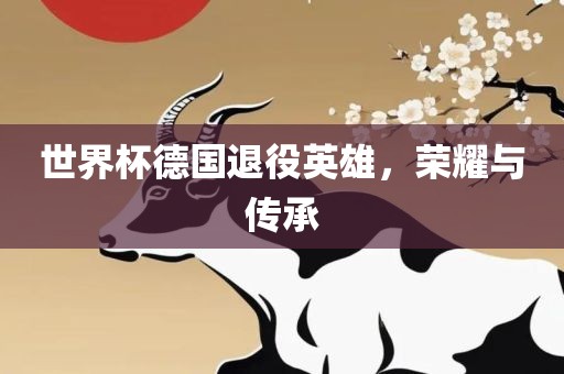 世界杯德国退役英雄，荣耀与传承