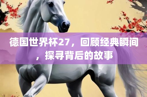 德国世界杯27，回顾经典瞬间，探寻背后的故事