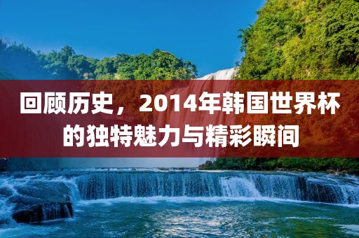 回顾历史，2014年韩国世界杯的独特魅力与精彩瞬间