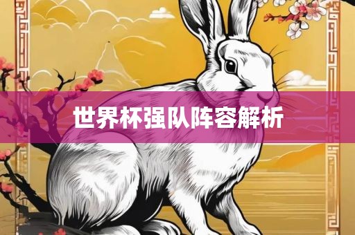 世界杯强队阵容解析