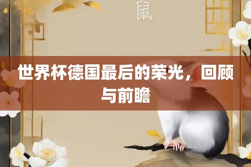 世界杯德国最后的荣光，回顾与前瞻