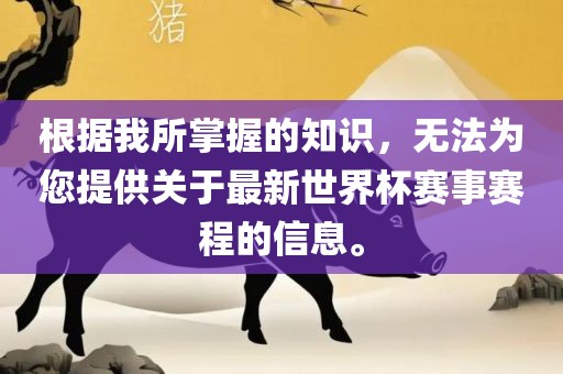 根据我所掌握的知识,无法为您提供关于最新世界杯赛事赛程的信息。