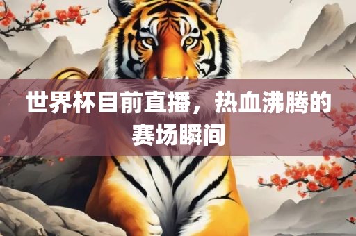 世界杯目前直播，热血沸腾的赛场瞬间