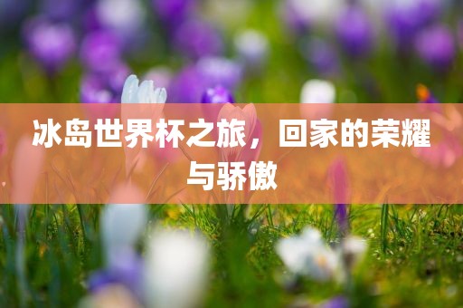 冰岛世界杯之旅，回家的荣耀与骄傲