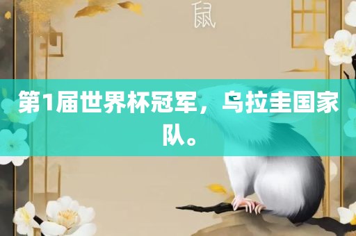 第1届世界杯冠军，乌拉圭国家队。