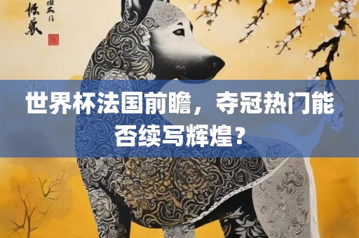 世界杯法国前瞻,夺冠热门能否续写辉煌?