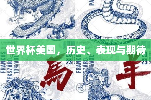 世界杯美国，历史、表现与期待